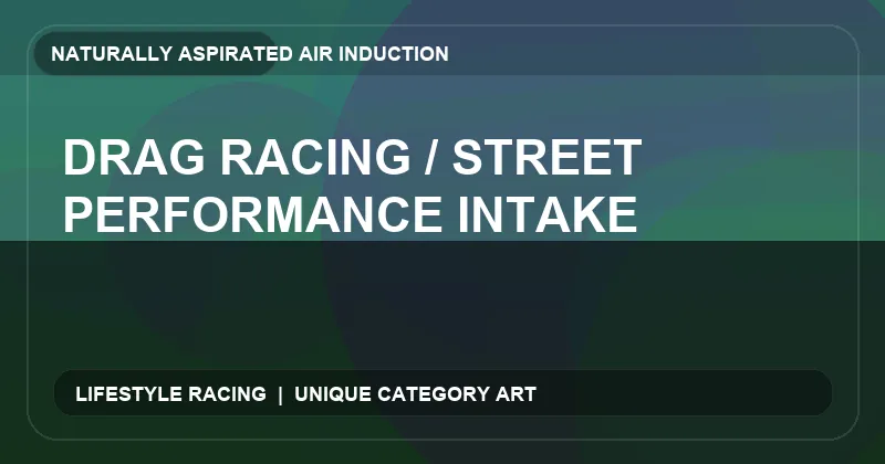 Drag Racing / Street Performance Intake